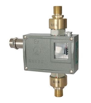 540/7DD Explosion-proof Differential Pressure Switches
