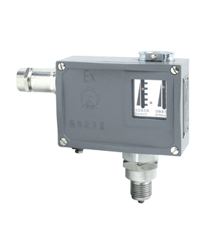 511/7D Explosionproof Pressure Switches