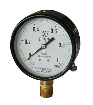Y Series General Pressure Gauge