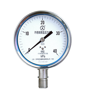 YE-100B Stainless Capsule Pressure Gauge