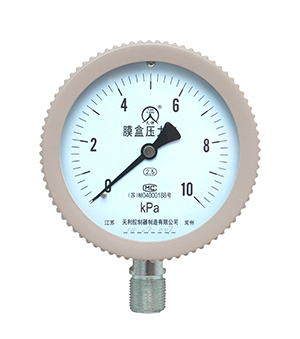 YE-75/100/150 Stainless Capsule Pressure Gauge?